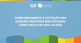 Serviço de consulta do TSE permite ao Instituto verificar o comparecimento às urnas