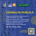 Pesquisa Metas da Justiça Eleitoral para 2024