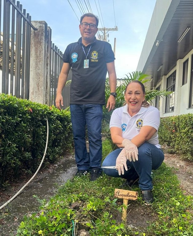Semana da Árvore: TRE Amapá promove plantio simultâneo de mudas na sede e Zonas Eleitorais do es...