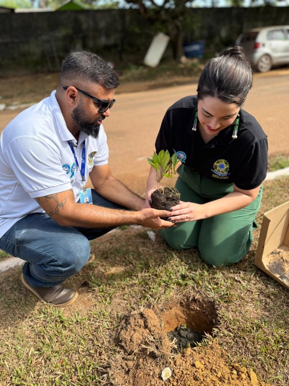 Semana da Árvore: TRE Amapá promove plantio simultâneo de mudas na sede e Zonas Eleitorais do es...