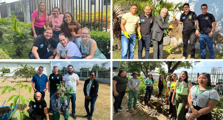 Semana da Árvore: TRE Amapá promove plantio simultâneo de mudas na sede e Zonas Eleitorais do es...