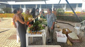 Semana do Meio Ambiente no TRE-AP tem programação interativa com feira orgânica, curso de compos...