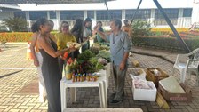 Semana do Meio Ambiente no TRE-AP tem programação interativa com feira orgânica, curso de compos...