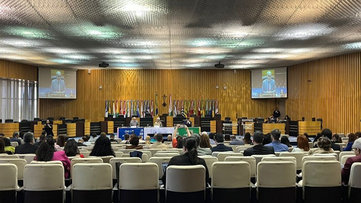 TRE Amapá participa do II Encontro Nacional do Comitê dos Direitos de Pessoas com Deficiência no Âmbito Judicial O encontro celebrou os 10 anos da Lei Brasileira de Inclusão (LBI)