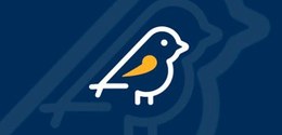 Ferramenta estará disponível a partir de 16 de agosto e permitirá o envio de denúncias por celul...