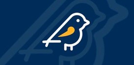Ferramenta estará disponível a partir de 16 de agosto e permitirá o envio de denúncias por celul...