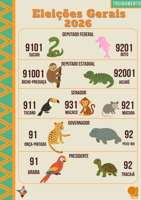 A iniciativa permite que as pessoas treinem antes da eleição, tirem dúvidas e ganhem mais segura...