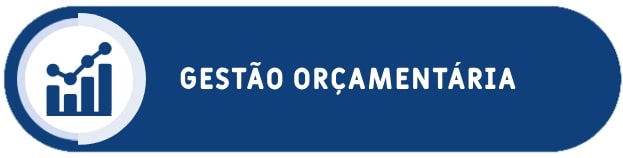Gestão Orçamentaria